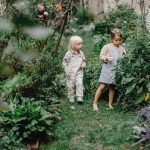 Wilde Blumenwiese anlegen: Naturnahe Schönheit für Insekten